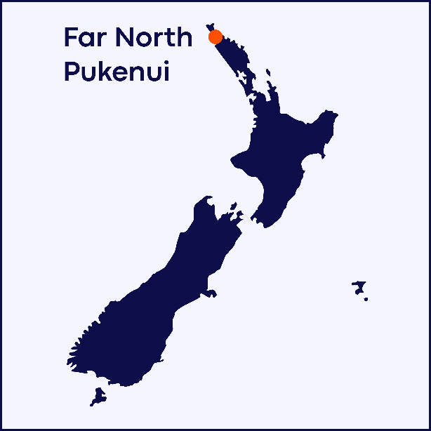 pokenui.png (15 KB)